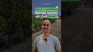 Thumbnail: The Care Behind the Wine You Drink 🍇 #Wine