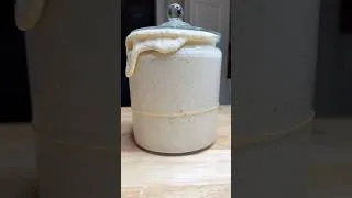 Thumbnail: “Phoebe” my vigorous sourdough starter