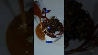 Thumbnail: This 2 Michelin Star Chef's Wildest Dish Isn't What You Think