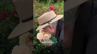 Thumbnail: New rose – 'Always in My Heart'