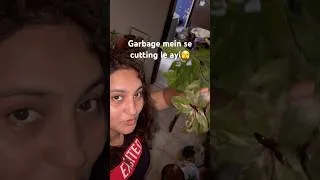 Thumbnail: Raste se cutting utha li jo logo ne fenk di thi🤓 #shorts #plantlover