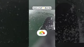Thumbnail: Catch or Fall? (Part 1/4)