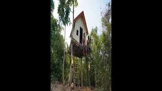Thumbnail: Build Tree House, Short