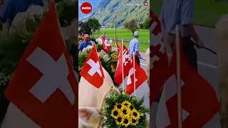 Thumbnail: 🐄🏠 Switzerland 🇨🇭 🌺 Cow Festival | Swiss Cow Parade | Alpabzug Ababfahrt | #swiss