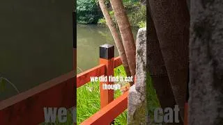 Thumbnail: Jarl in Japan part 4 #fabtcg #fleshandblood #travel #japan