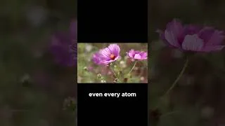 Thumbnail: The Only Consistent Element of Your Experience  - Rupert Spira