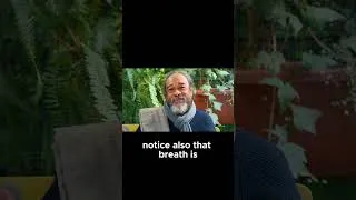 Thumbnail: Notice The Miracle Your Body Performs 24 7 - Mooji