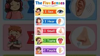 Thumbnail: The 5 Senses for Kids 👀👂👃👅✋ | Learn Five Senses with Pictures & Pronunciation #fivesenses