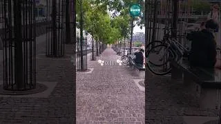 Thumbnail: Have you ever tried slow living in dublin ?