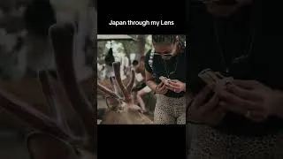 Thumbnail: Japan through my Lens #travel #japan