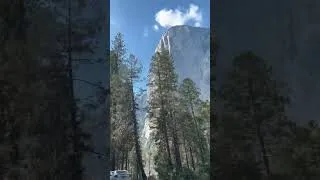Thumbnail: Take the time this year to show gratitude for the people and blessings in your life. #naturelovers