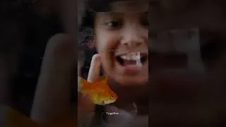 Thumbnail: Your Turtle Is Hiding That It's Sick 🐢 (Here's How to Catch It Early)