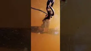 Thumbnail: How to Clean up old Rusty Tools with Electrolysis!
