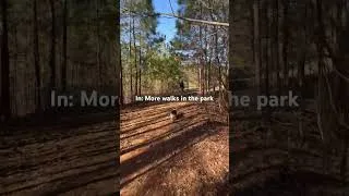 Thumbnail: Taking in more fresh air this year