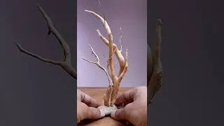 Thumbnail: Creating a hardscape for terrarium