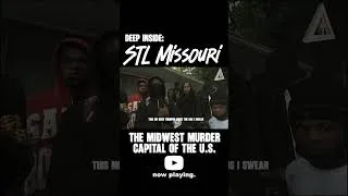 Thumbnail: ST LOUIS MISSOURI WALNUT PARK HOOD TOUR