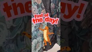 Thumbnail: Vintage Thrifting Got Weird!