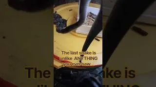 Thumbnail: Wait For The Final Snake AMAZING