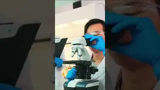 Thumbnail: Why Honeybees Die After Stinging You 🐝