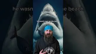 Thumbnail: Shark Attack Rescue Attempt #truestory #shark