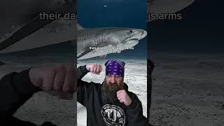 Thumbnail: Luis Arruda - Shark Attack  #truestory  #shark
