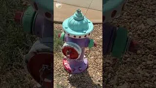 Thumbnail: Kechi wants to have residents paint, design fire hydrants