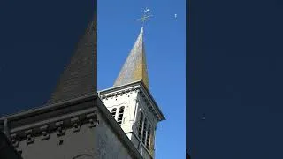 Thumbnail: Les hirondelles aiment le clocher! #dinant #wallonie