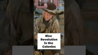 Thumbnail: Rice Revolution in the Colonies