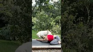 Thumbnail: #yoga #puppyyoga #puppylove #therapy