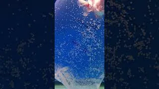Thumbnail: Removing My Goldfish Eggs