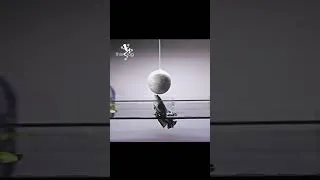 Thumbnail: Jumping Betta Fish