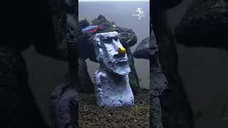 Thumbnail: Wonder what happened between Snails and MOAI statue?