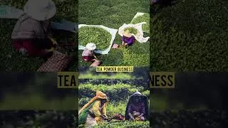 Thumbnail: Tea Powder Business #shorts #youtubeshorts #businessideas #telugubusinessideas #telugu #viral
