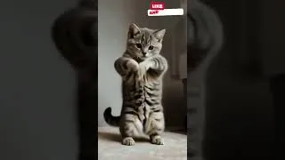 Thumbnail: Dancing Cat 🐈 #shorts #pets #familyfun
