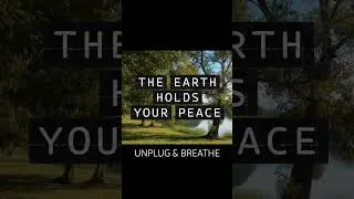 Thumbnail: The earth holds your peace... 🌿