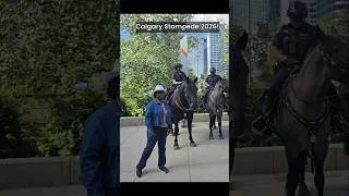 Thumbnail: POV Police on horses in the city.  During Calgary Stampede! #calgary #stampede #Alberta
