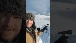 Thumbnail: Behind the Scenes of my trip to Hornstrandir #landscapephotography #wildlifephotography