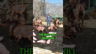 Thumbnail: The Best Skill Magazine in Fallout 4 Survival