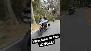 Thumbnail: We’re in the jungle BABY!!