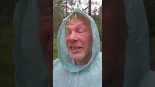 Thumbnail: The HIGHEST Waterfall in Sweden - and the OLDEST Tree | Fulufjället National Park, Njupeskärsfallet