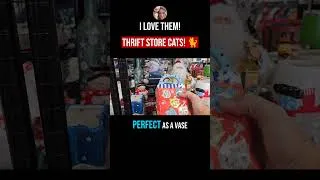 Thumbnail: 💸 GOODWILL CATS for the WIN!! 👀💸To THRIFT WITH ME👉 @ThriftingVegas #goodwill #thrifting #cats