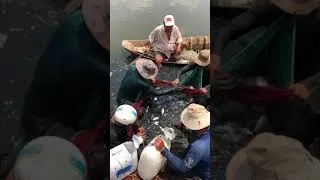 Thumbnail: Bắt cá là phải nhiều thế này #shorts