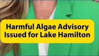 Thumbnail: Harmful algae advisory issued for Lake Hamilton | News with Ashley King