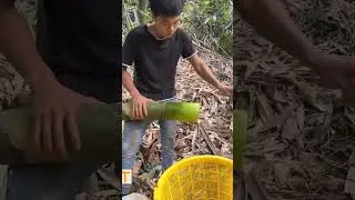 Thumbnail: Vất vả vs nghèo như tui thì ai mà dám về làm dâu cơ chứ. #thorung #nongdan #bocmang #fyp #xuhuong