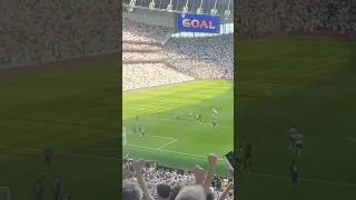 Thumbnail: YESSSS JOAO!!!! Is This The Goal That Saves Tottenham From Relegation?? #spurs #tottenham #paulinha