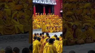Thumbnail: We Pray for the World Peace, Hoping for Unity and Harmony Across the Globe. #tibet #worldpeace