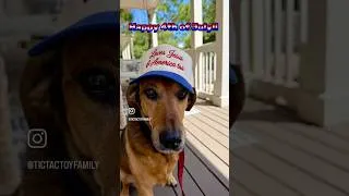 Thumbnail: We are blessed to call the USA our home and are so proud to be Americans. God bless America! 🇺🇸 🦅