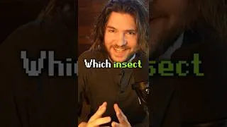 Thumbnail: Which insect truly rules the air?