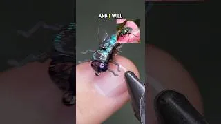 Thumbnail: Realistic Bottle Fly