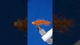 Thumbnail: CDC Bug